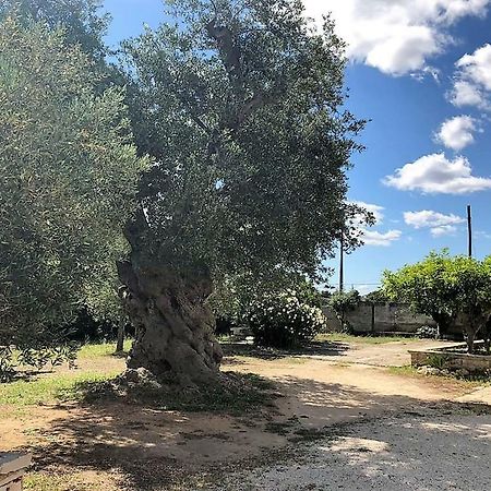 Le Stanze Di Casa Polinisso Pension Carovigno Buitenkant foto
