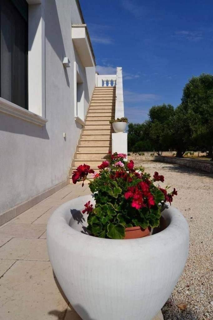 Le Stanze Di Casa Polinisso Pension Carovigno Buitenkant foto