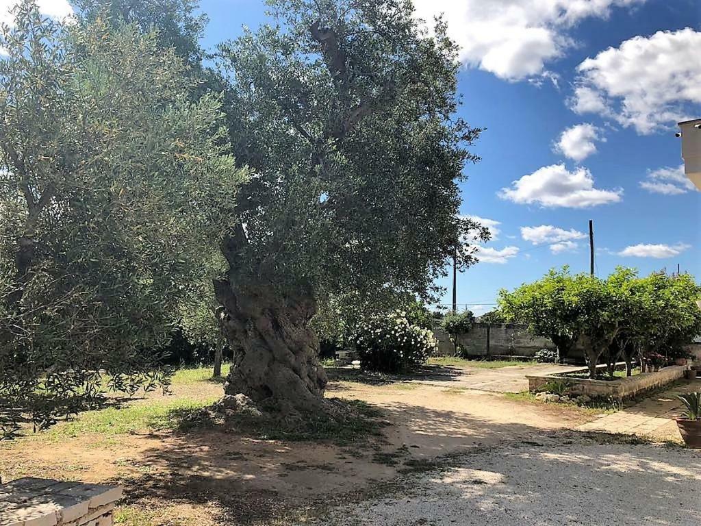 Le Stanze Di Casa Polinisso Pension Carovigno Buitenkant foto