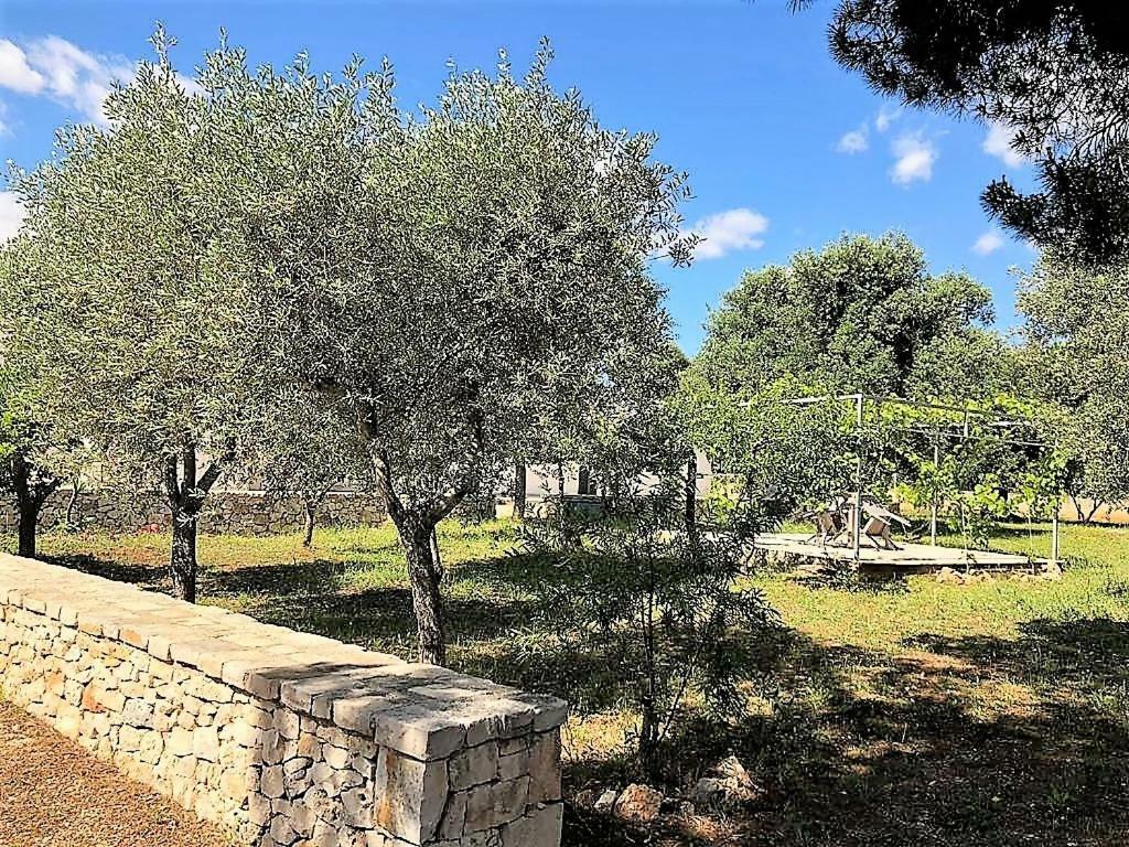Le Stanze Di Casa Polinisso Pension Carovigno Buitenkant foto